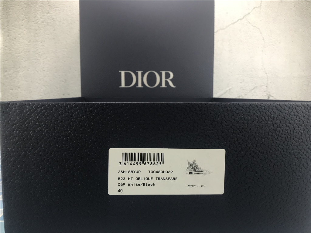 Dior B23 High Dior Oblique